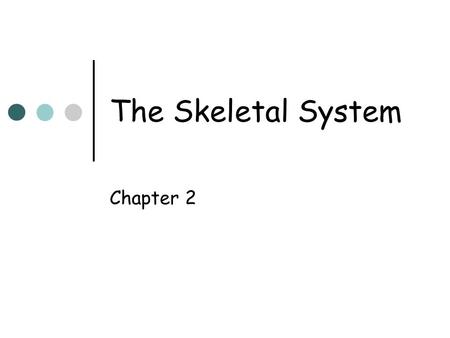 The Skeletal System Chapter 2.