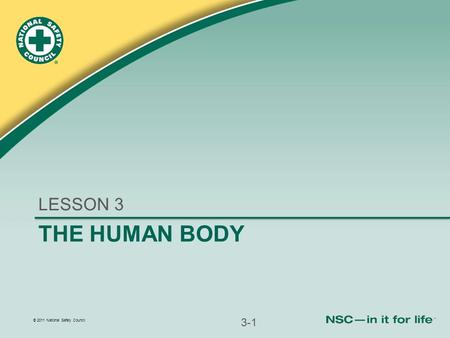 © 2011 National Safety Council THE HUMAN BODY LESSON 3 3-1.