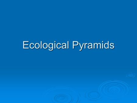 Ecological Pyramids. Energy Loss in Ecosystems I  Energy flow through an ecosystem is based on the laws of thermodynamics (physics)   First Law: Energy.