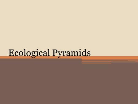 Ecological Pyramids.
