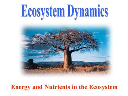 Ecosystem Dynamics Energy and Nutrients in the Ecosystem.