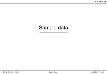CS-QI-091-04 (1/4) R.2Cad & SoftA4 (290 X 217 mm) CEO Survey Sample data.