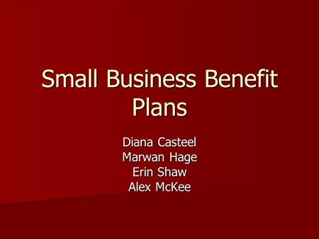Small Business Benefit Plans Diana Casteel Marwan Hage Erin Shaw Alex McKee.