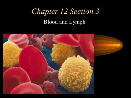 Chapter 12 Section 3 Blood and Lymph. If someone fills a test tube with blood and lets it sit for a while, the blood separates into layers. –The top layer.