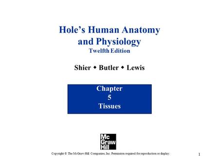 1 Hole’s Human Anatomy and Physiology Twelfth Edition Shier  Butler  Lewis Chapter 5 Tissues Copyright © The McGraw-Hill Companies, Inc. Permission required.
