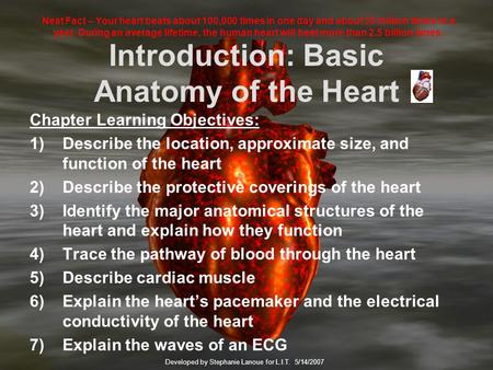 Introduction: Basic Anatomy of the Heart Chapter Learning Objectives: 1)Describe the location, approximate size, and function of the heart 2)Describe.