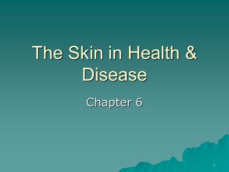 The Skin in Health & Disease