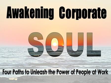 Soul awakens when people are aware of their own passion, in touch with their core values, and when they actively bring these in their daily.