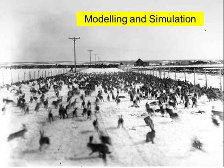 CBP 2006MSc. Computing1 Modelling and Simulation.