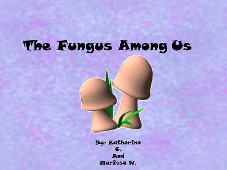 The Fungus Among Us By: Katherine C. And Marissa W.