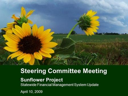 Steering Committee Meeting Sunflower Project Statewide Financial Management System Update April 10, 2009.