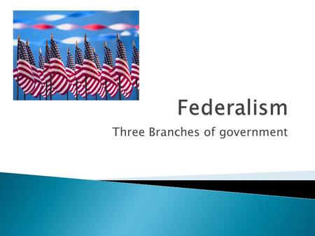 Three Branches of government. We the People of the United States, in Order to form a more perfect Union, establish Justice, insure domestic Tranquility,