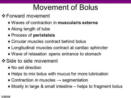 3/28/08 Movement of Bolus  Forward movement ♦Waves of contraction in muscularis externa ♦Along length of tube ♦Process of peristalsis ♦Circular muscles.