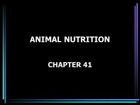 ANIMAL NUTRITION CHAPTER 41. Figure 41.0 Animals eating: foal, bear, and stork.