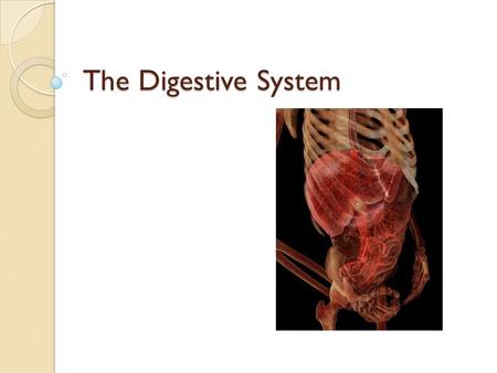 The Digestive System.  We have now started to look at various systems in the body and how individual organs make up these systems.  But how did we get.