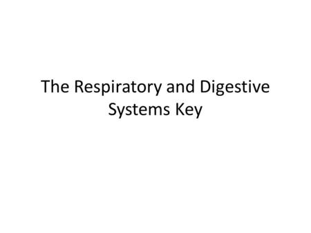 The Respiratory and Digestive Systems Key. I. The Respiratory System 1.Define respiratory system. The system that functions to get oxygen from the environment.