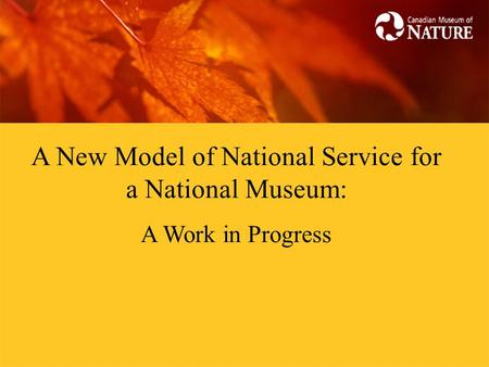 A New Model of National Service for a National Museum: A Work in Progress.