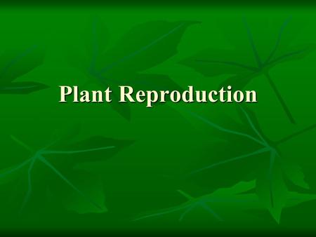 Plant Reproduction. Sexual reproduction The mixing of genetic material from two parents to produce offspring The mixing of genetic material from two parents.