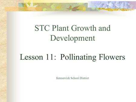 STC Plant Growth and Development Lesson 11: Pollinating Flowers Kennewick School District.