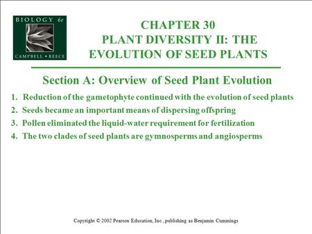 CHAPTER 30 PLANT DIVERSITY II: THE EVOLUTION OF SEED PLANTS