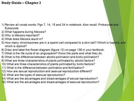 Study Guide – Chapter 3 1)Review all vocab words: Pgs 7, 14, 15 and 24 in notebook. Also recall: Prokaryote and Eukaryote. 2)What happens during Meiosis?