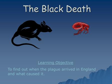 The Black Death Learning Objective