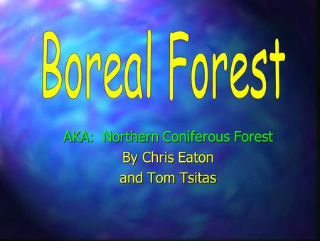 AKA: Northern Coniferous Forest By Chris Eaton and Tom Tsitas.