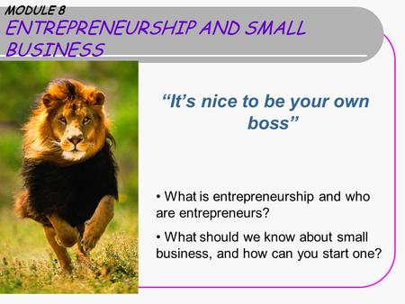 MODULE 8 ENTREPRENEURSHIP AND SMALL BUSINESS