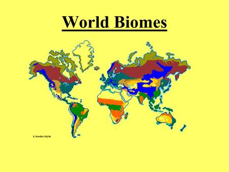 World Biomes.