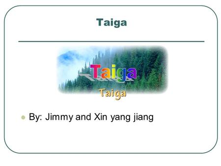 Taiga By: Jimmy and Xin yang jiang. Plants Fun facts A taiga, also called a boreal forest or northern coniferous forest, is a cold woodland or forest.