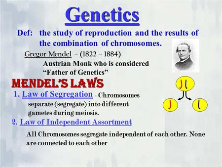 Genetics Def: the study of reproduction and the results of the combination of chromosomes. Gregor Mendel – (1822 – 1884) Austrian Monk who is considered.