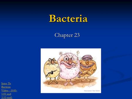 Bacteria Chapter 23 Intro To Bacteria Video - (0:00- 1:05 and 2:55-end)