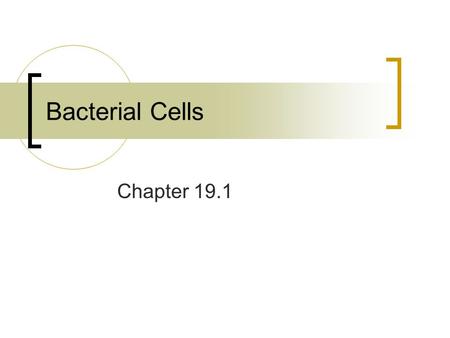 Bacterial Cells Chapter 19.1.