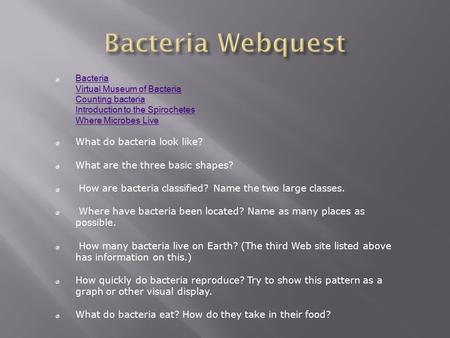 Bacteria Webquest What do bacteria look like?