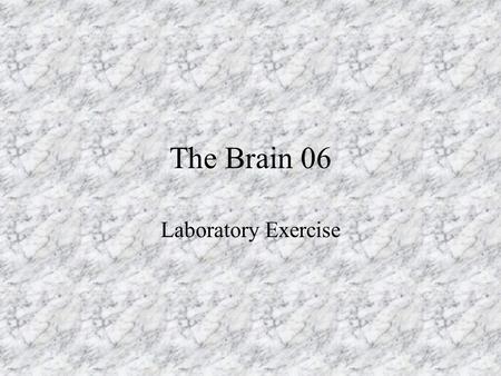The Brain 06 Laboratory Exercise.