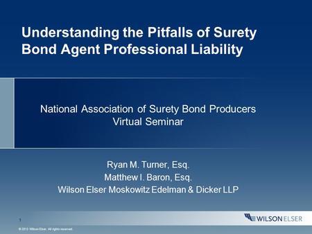 1 © 2013 Wilson Elser. All rights reserved. Understanding the Pitfalls of Surety Bond Agent Professional Liability National Association of Surety Bond.