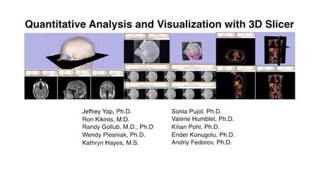 -- CTSA at RSNA 2010 An end-user application for image analysis and visualization An open-source environment for software development A software platform.