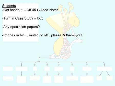 Students Get handout – Ch 45 Guided Notes Turn in Case Study – box