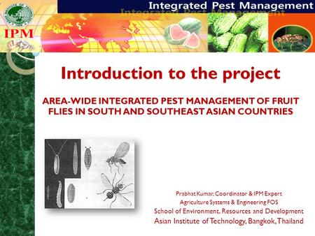 Introduction to the project AREA-WIDE INTEGRATED PEST MANAGEMENT OF FRUIT FLIES IN SOUTH AND SOUTHEAST ASIAN COUNTRIES Prabhat Kumar, Coordinator & IPM.