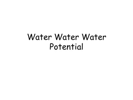 Water Water Water Potential