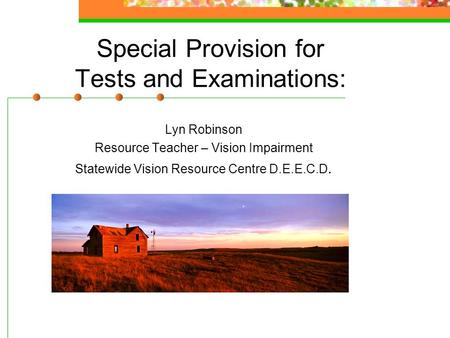Special Provision for Tests and Examinations: Lyn Robinson Resource Teacher – Vision Impairment Statewide Vision Resource Centre D.E.E.C.D.