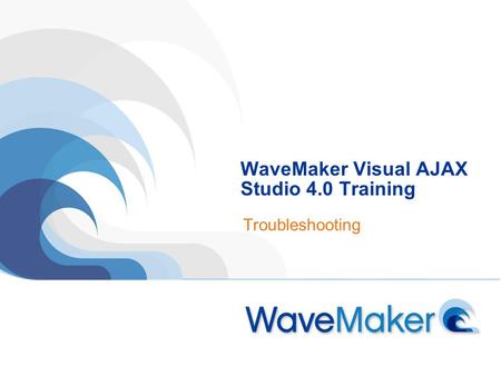 WaveMaker Visual AJAX Studio 4.0 Training Troubleshooting.