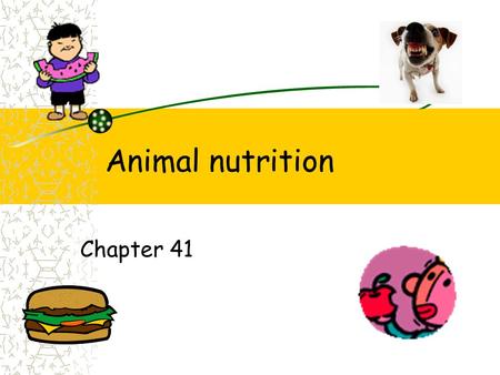 Animal nutrition Chapter 41.