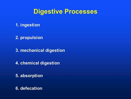 Digestive Processes 1. ingestion 2. propulsion 3. mechanical digestion 4. chemical digestion 5. absorption 6. defecation.