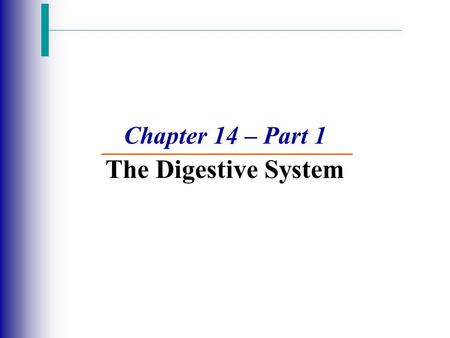 Chapter 14 – Part 1 The Digestive System
