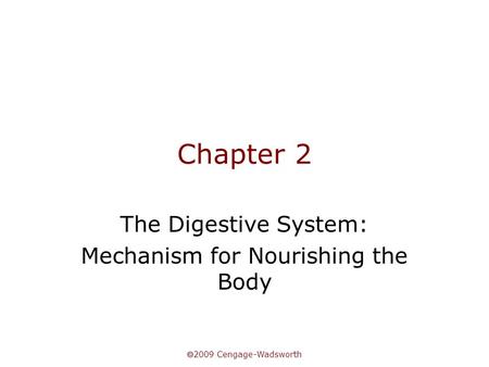 The Digestive System: Mechanism for Nourishing the Body