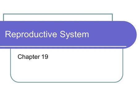 Reproductive System Chapter 19. Introduction Connected system of organs and gland that produce and nurture sex cells and transport them to sites of fertilization.