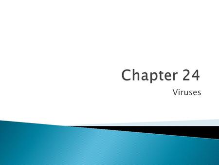 Chapter 24 Viruses.