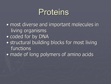 Proteins most diverse and important molecules in most diverse and important molecules in living organisms living organisms coded for by DNA coded for by.