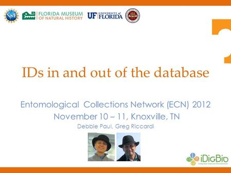 IDs in and out of the database Entomological Collections Network (ECN) 2012 November 10 – 11, Knoxville, TN Debbie Paul, Greg Riccardi.